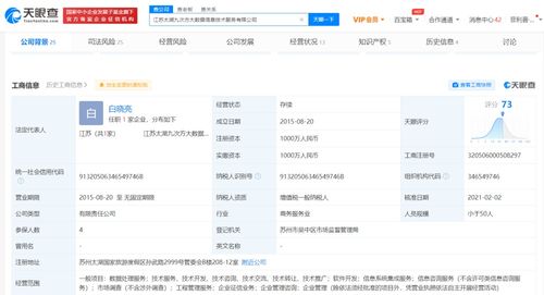 信息系統集成 數字時代的核心競爭力